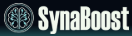 SynaBoost