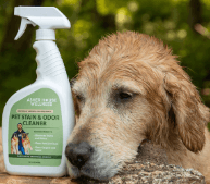 Asher House Wellness Pet Stain & Odor Cleaner